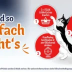 de purina felix 0826 little extras kampagne 2026 landingpage responsiveimage mechanik mobile 770x450