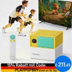ebayava 13