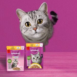 get a free sample hero DE