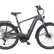 PegasusSavino EVO 10 Lite E-Bike Trekkingrad Herren 28" silber