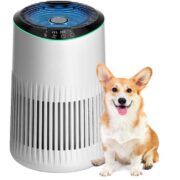 Luftreiniger für Schlafzimmer Zuhause