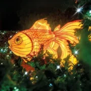 Phantasialand: Wintertraum ab 29 €