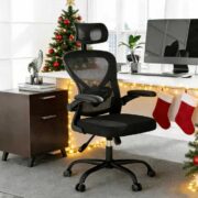 Gotland Ergonomischer Bürostuhl für ~91€